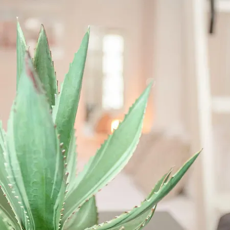 Appartement Liiiving In - Heart Of Mezzanine *