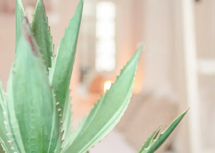 Appartamento Liiiving In - Heart Of Mezzanine *