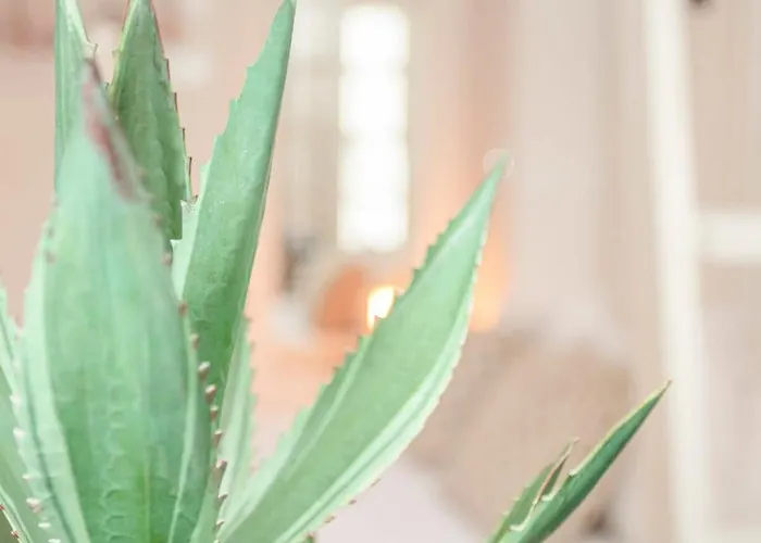 Liiiving In - Heart Of Mezzanine פורטו